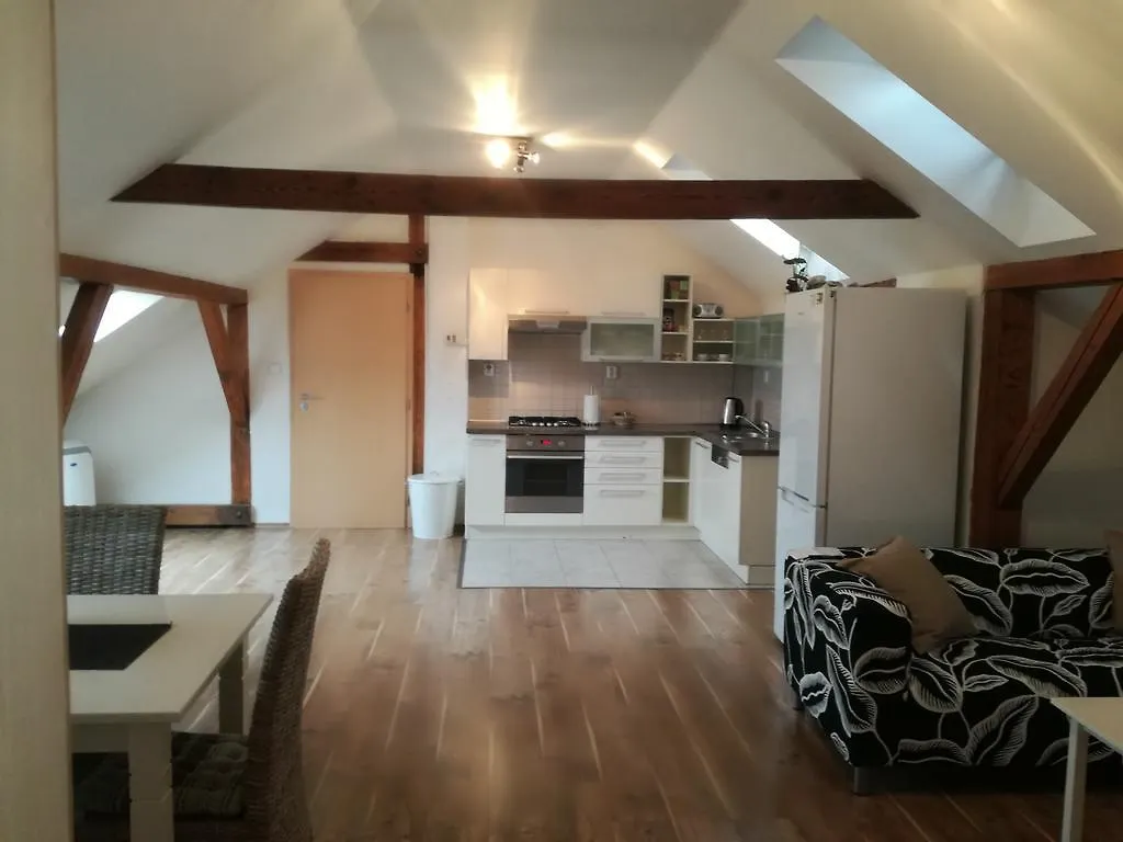 Apartment Anenska 5 Prague